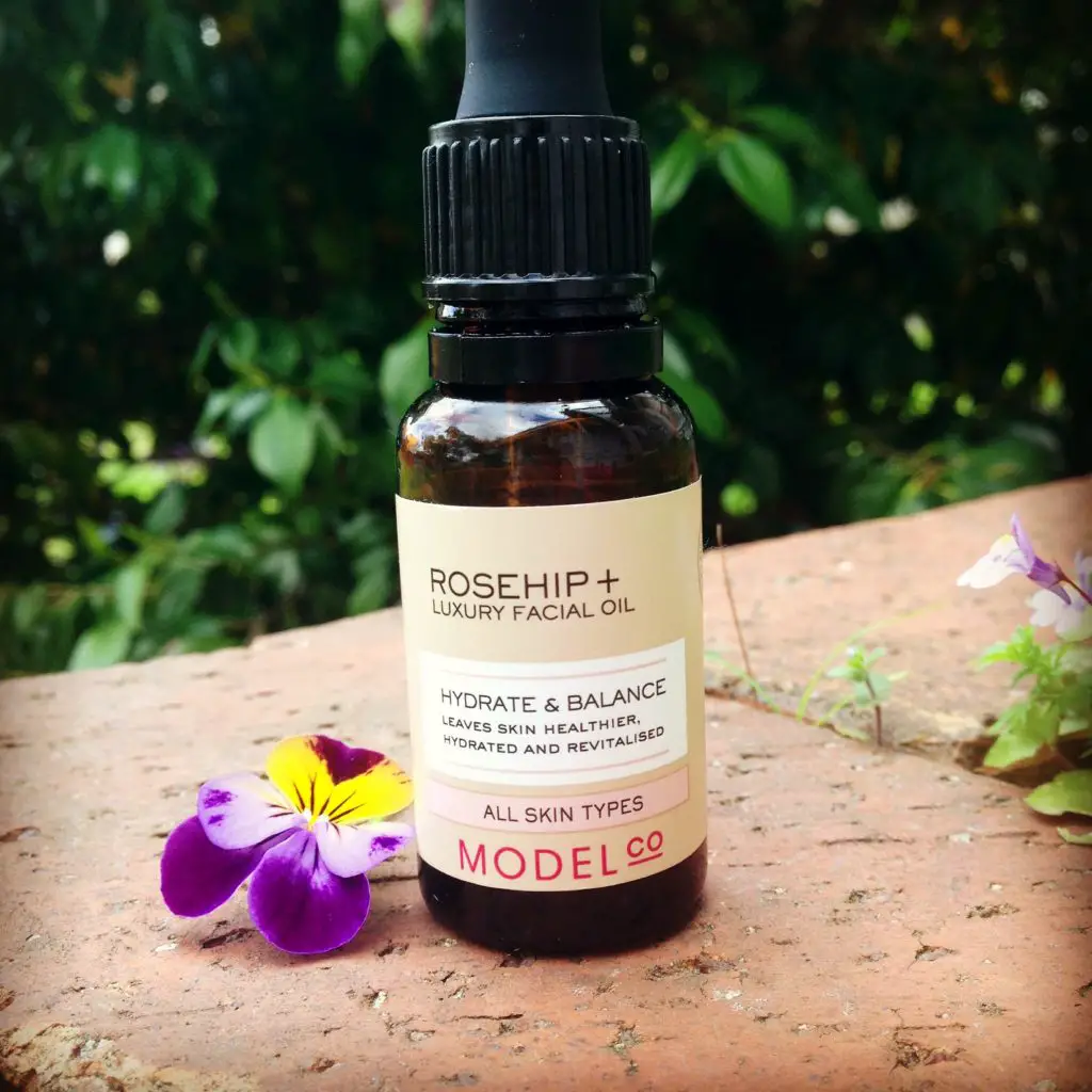 Rose hip Oil for Acne Scars – Your Beauty Chronicles